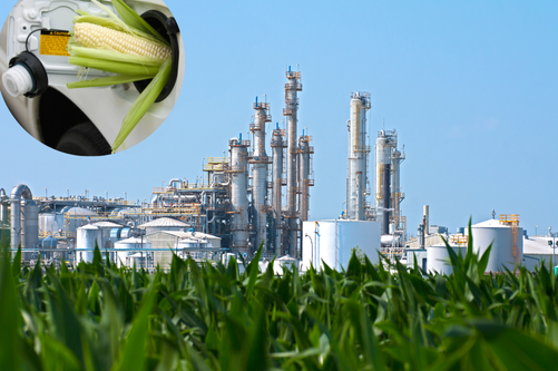 Ethanol Plant in a field